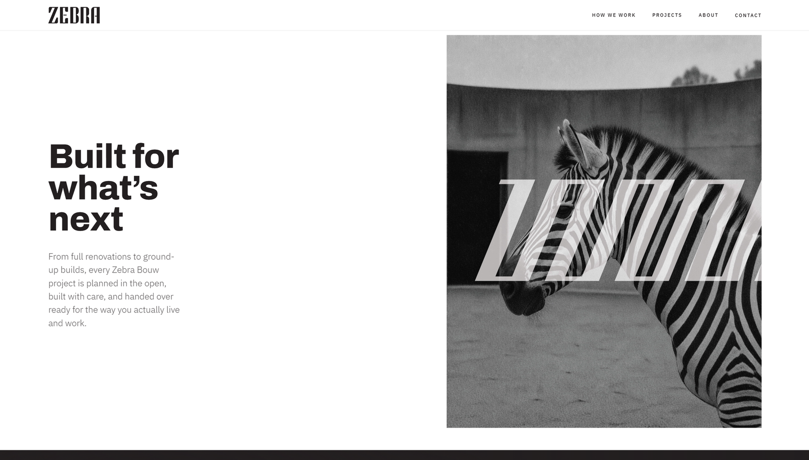 Zebra Bouw